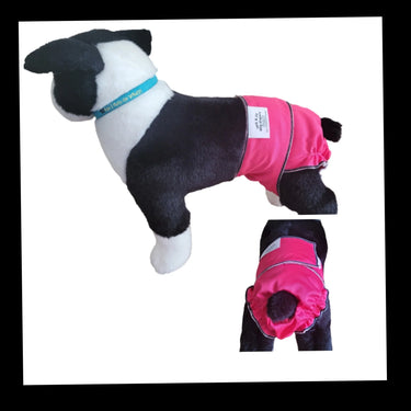 Jack & Jill Female Dog Diaper (with tail opening)